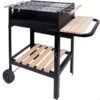 Barbecue Au Charbon De Bois Portable Aktive Double Grill -Avontuur Uitrusting barbecue au charbon de bois portable aktive double grill