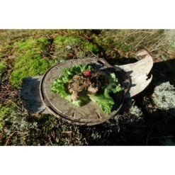 Kupilka Kaarna M - Planche à Découper-Original (Marron) -Avontuur Uitrusting kupilka kaarna m planche a decouper original marron 2